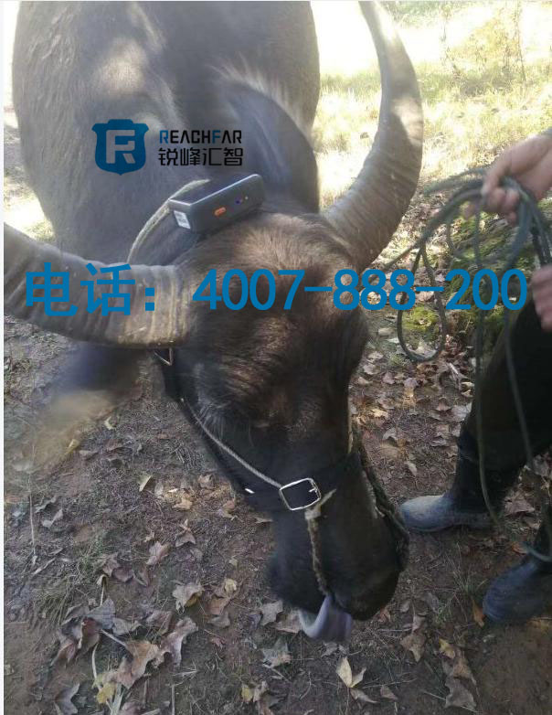 锐峰汇智太阳能GPS定位器