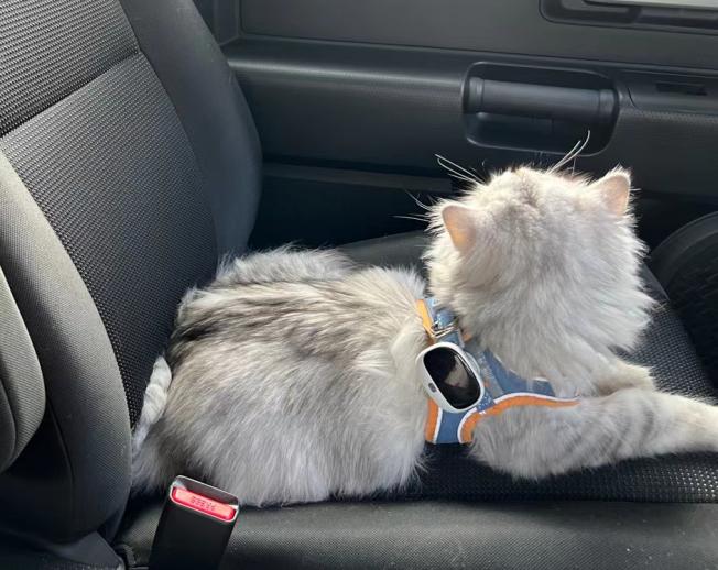 锐峰汇智宠物GPS定位器防丢器